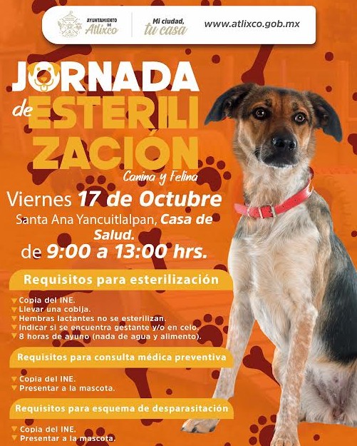 atlixco2