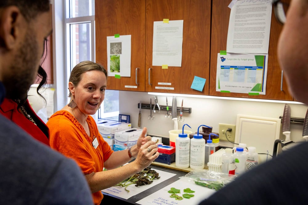 Hito histórico en fitopatología