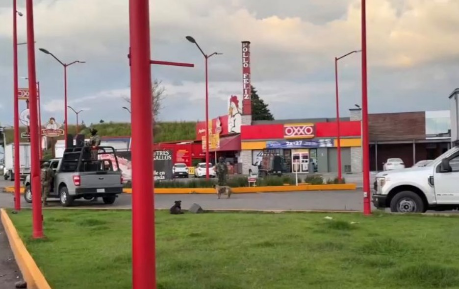 Inspecciones en la zona metropolitana