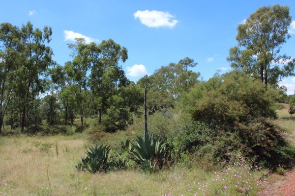 Proponen unidades de atención forestal para municipios de Puebla