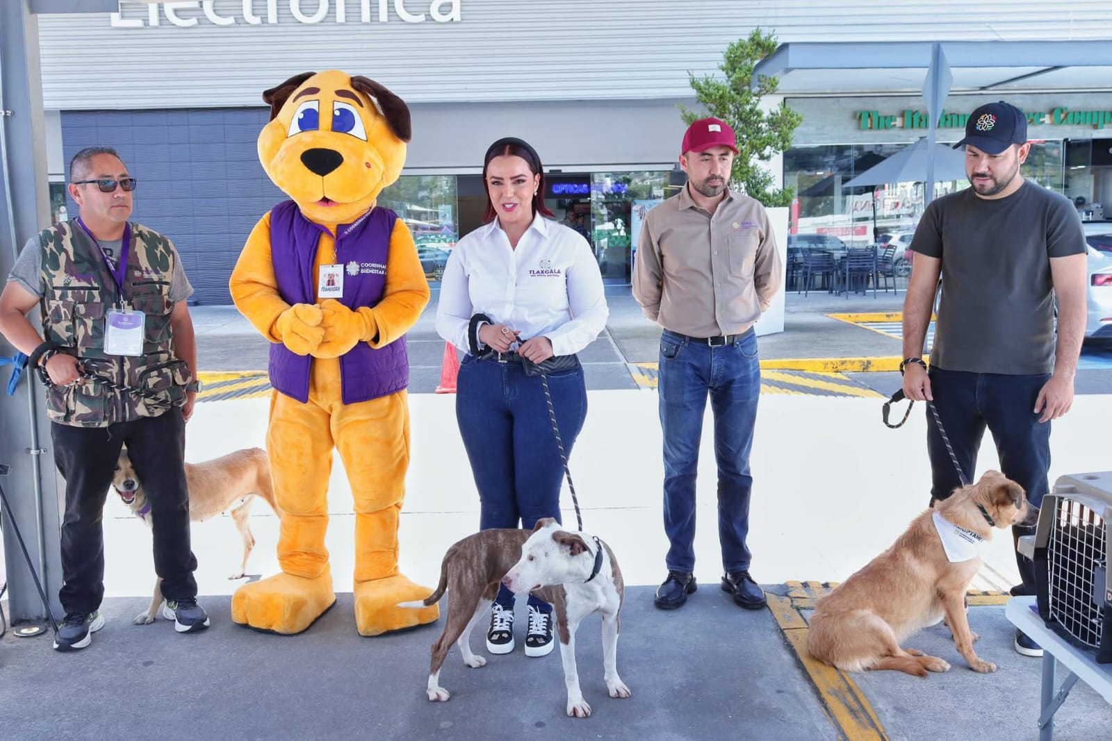 OCPA exige fortalecer la Coordinación de Bienestar Animal en Tlaxcala