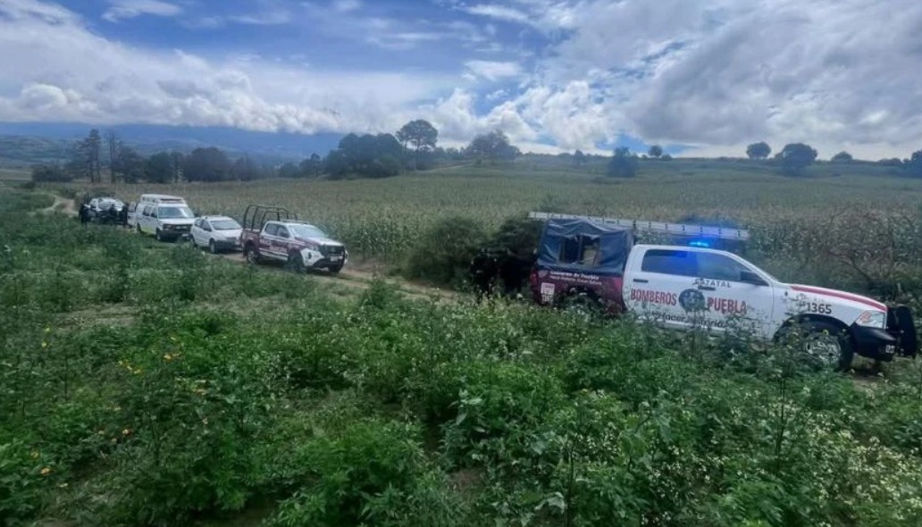 Hallazgo en las inmediaciones del relleno sanitario