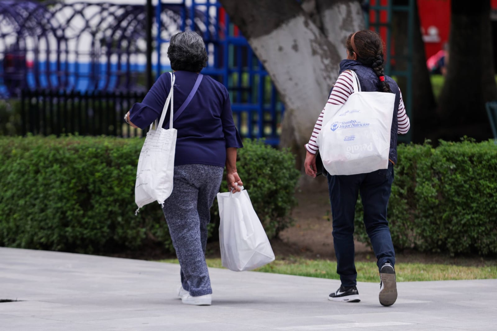 3a entrega apoyo alimenatria sach 4