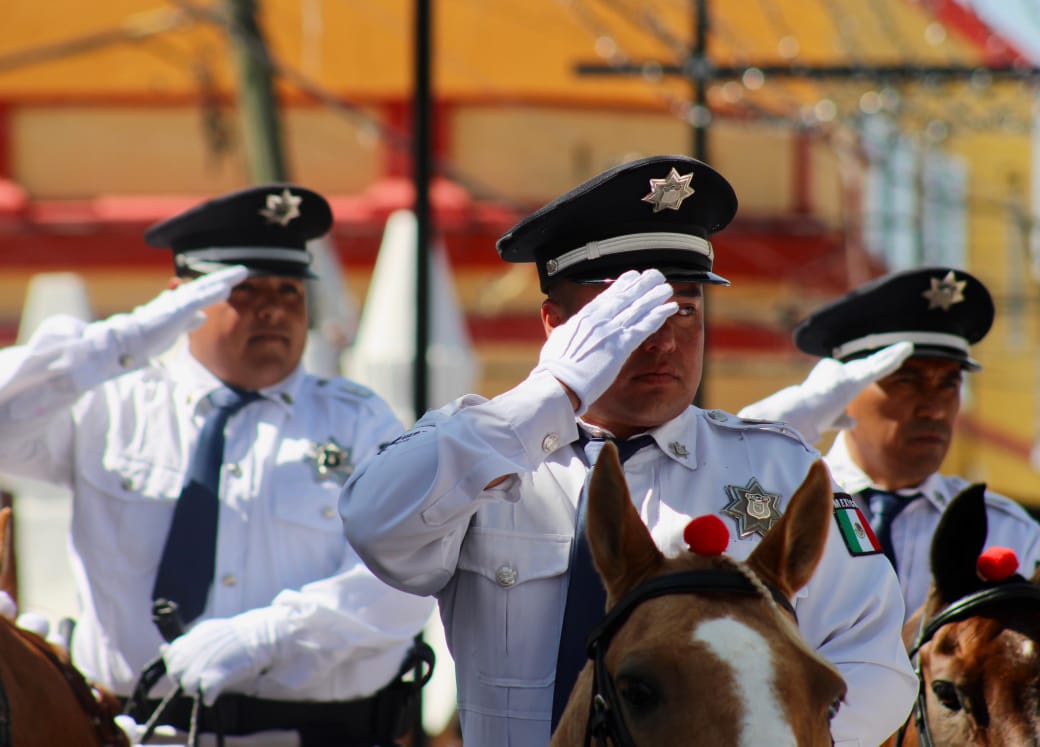 saldo blanco sach 4