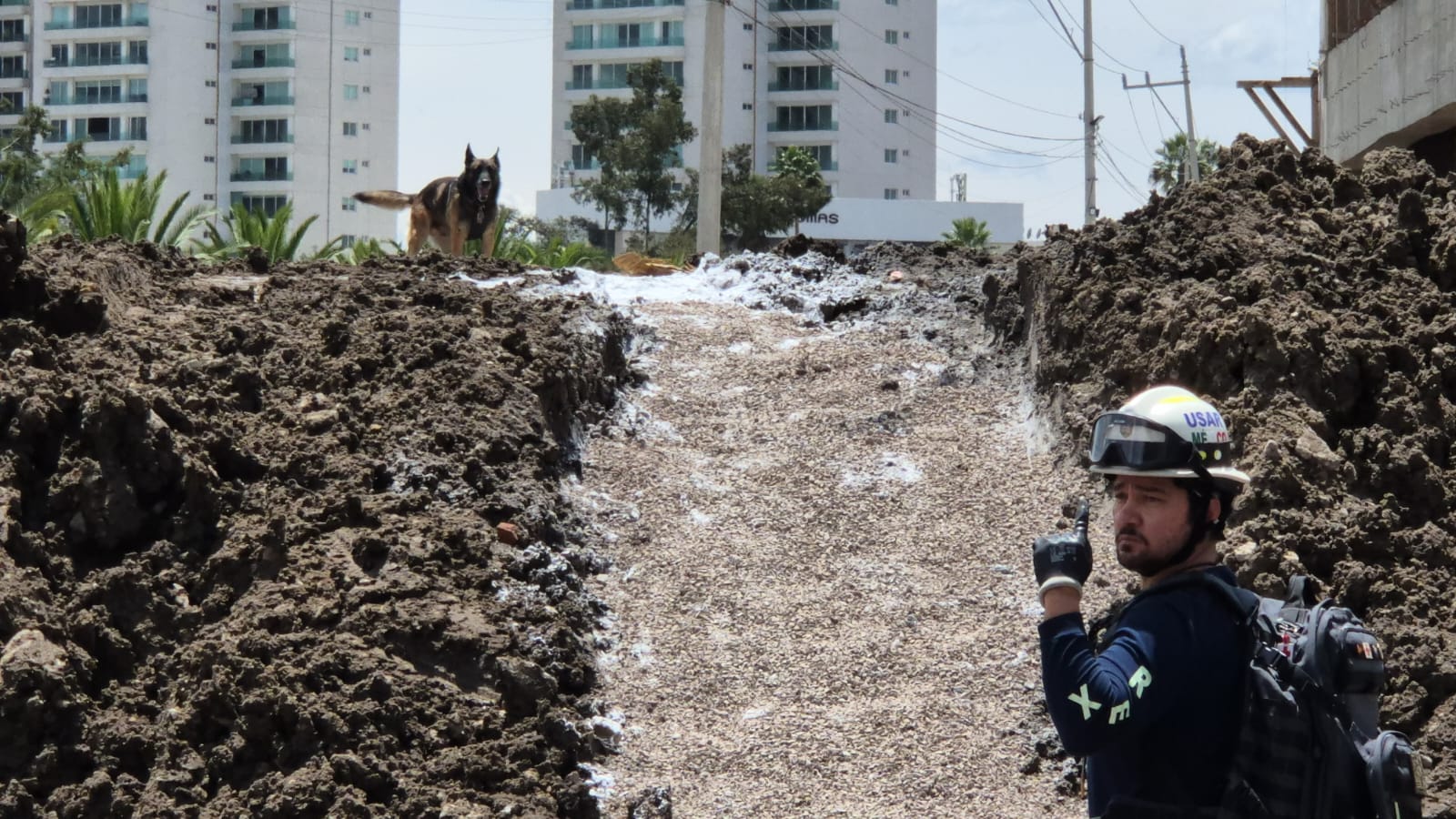 2o simulacro nacional sach 2
