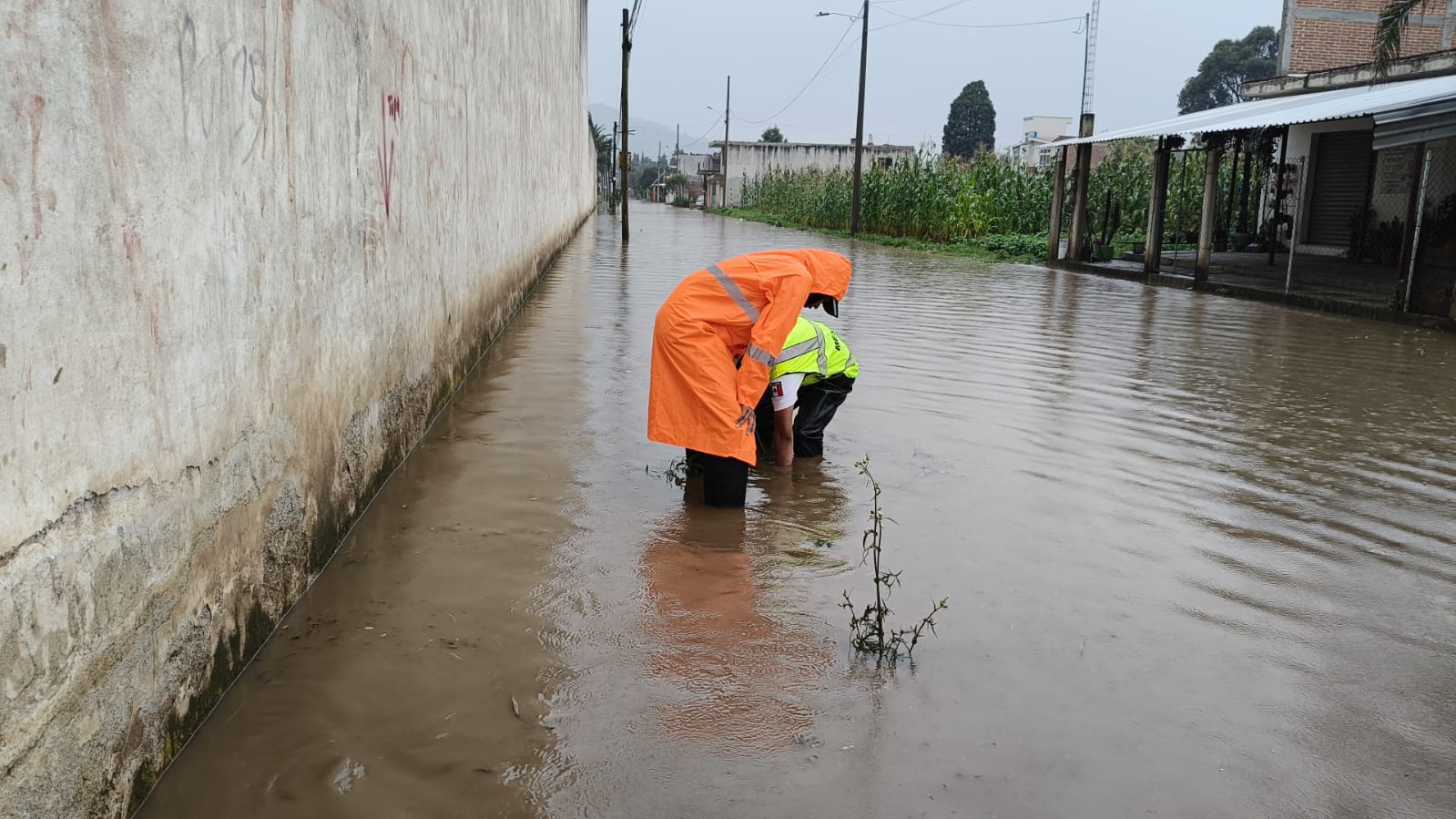 comunicado activan brigada intermunicipal spch 4