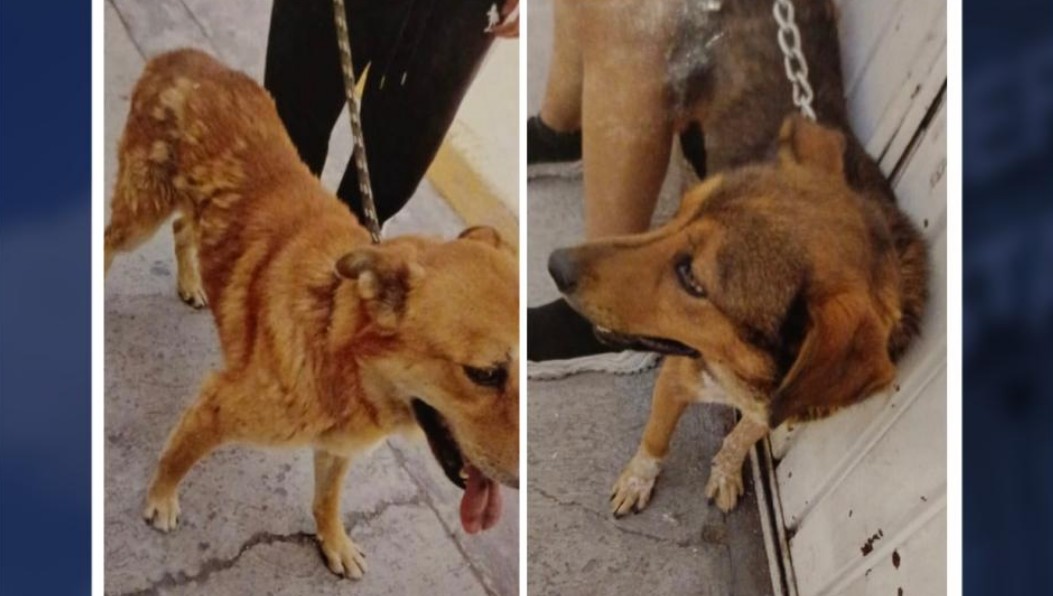 Medidas cautelares dictadas por el Juez de Control