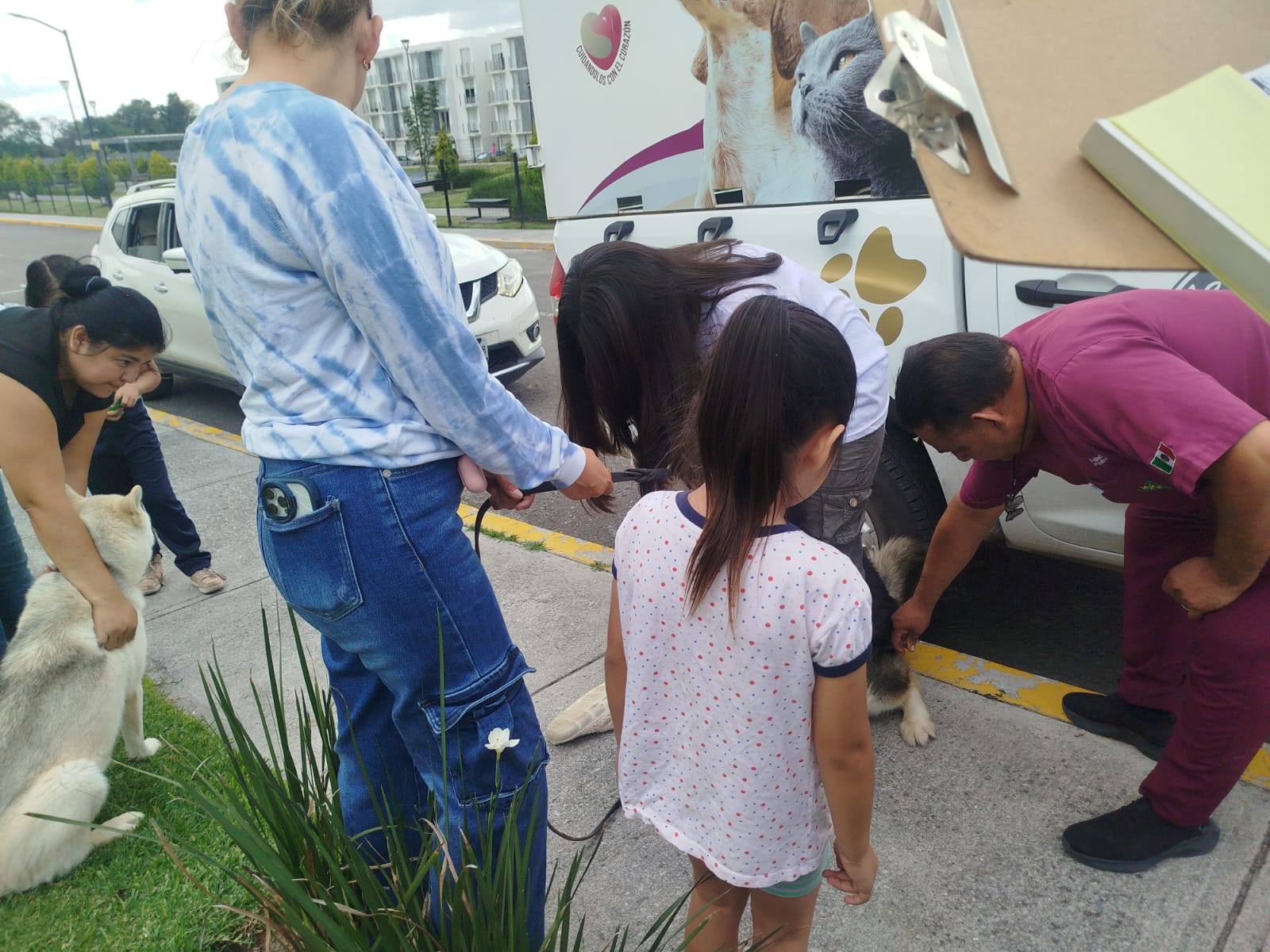 Con éxito jornada de vacunación para perros y gatos en Cuautlancingo