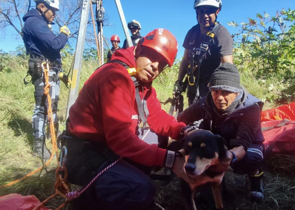 Bomberos rescatan a tres perritas que cayeron a un pozo de 27 metros en Tlaxcalancingo