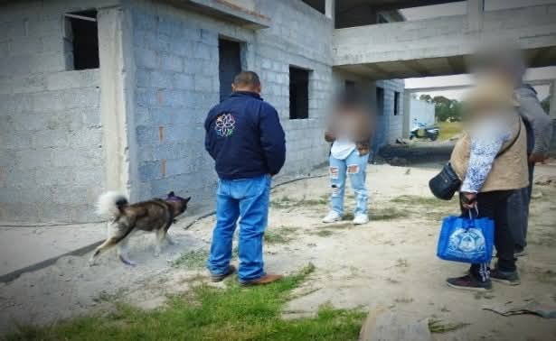 PROPAET Tlaxcala pide denunciar maltrato animal por vías oficiales