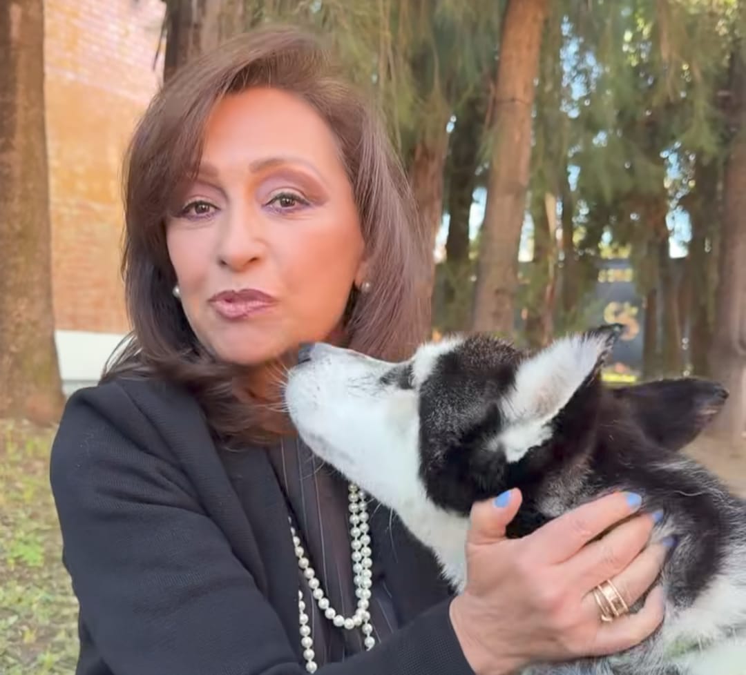 Gobernadora de Tlaxcala pide respeto animal tras rescate de Shakira