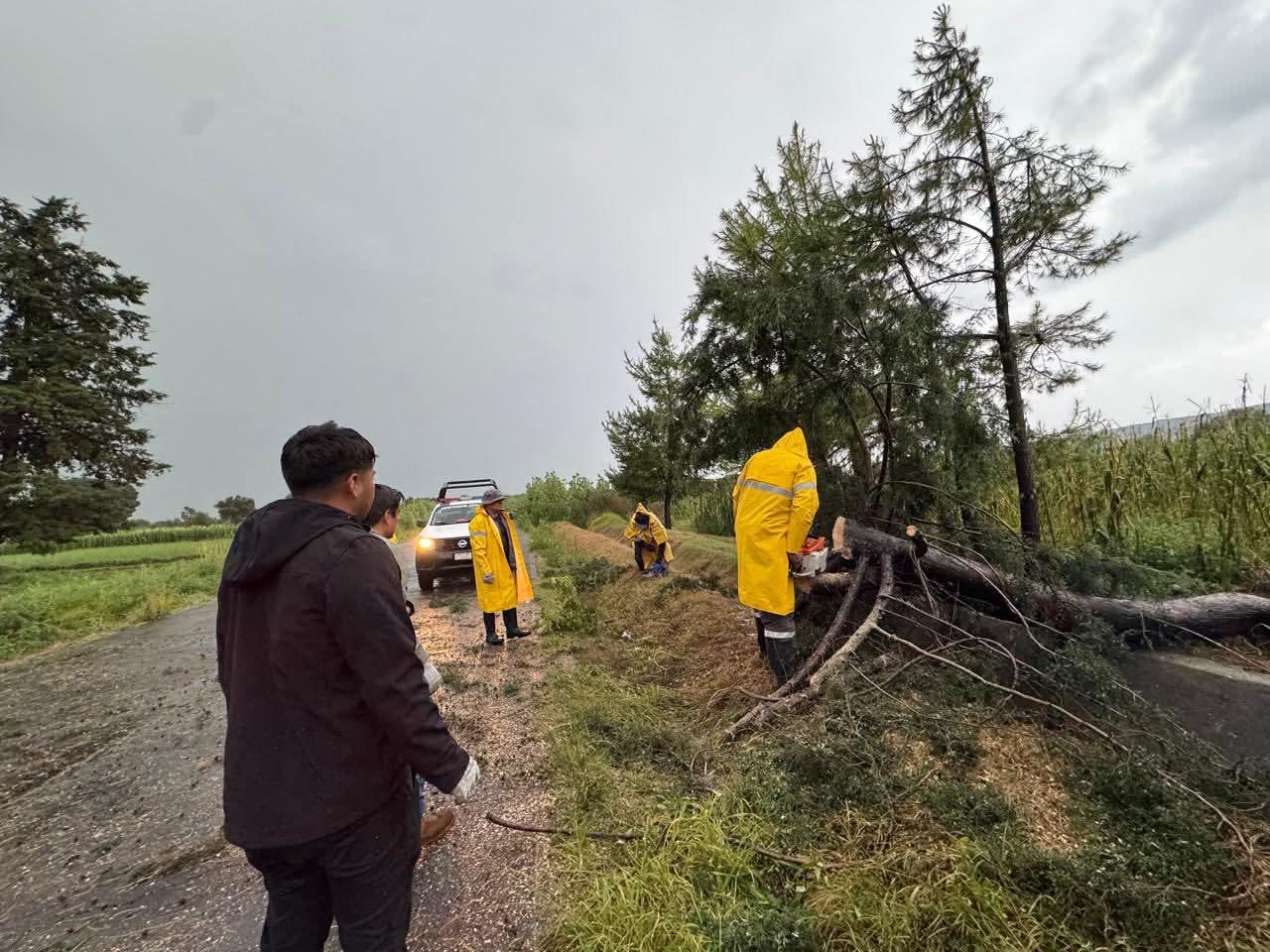 Coordinan acciones en Panotla luego de inundaciones por tromba