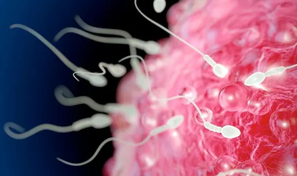 Cómo la diabetes afecta a los espermatozoides