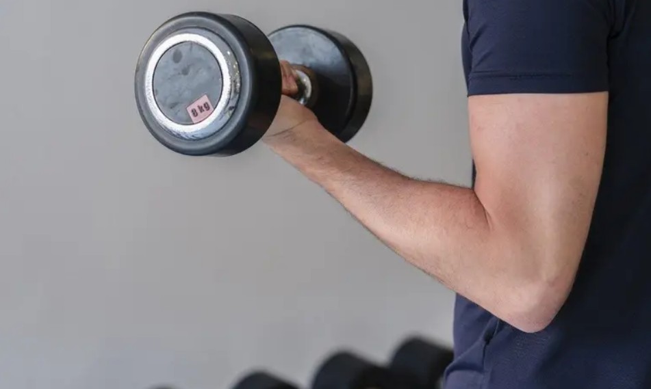 Qué son las proteínas y su función en el músculo