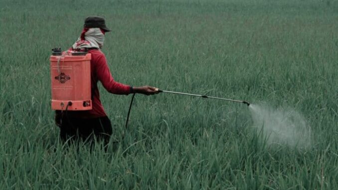 México prohíbe 35 plaguicidas para proteger la salud y el ambiente