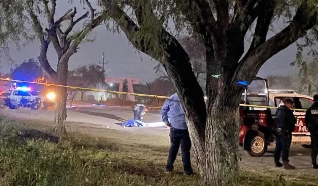 Hallazgo en la carretera federal