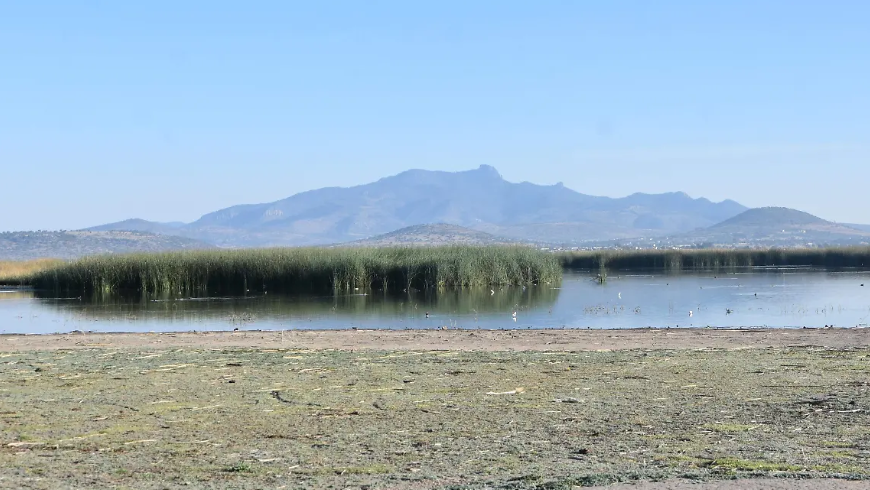 Tlaxcala en riesgo por estrés hídrico: medidas urgentes son indispensables