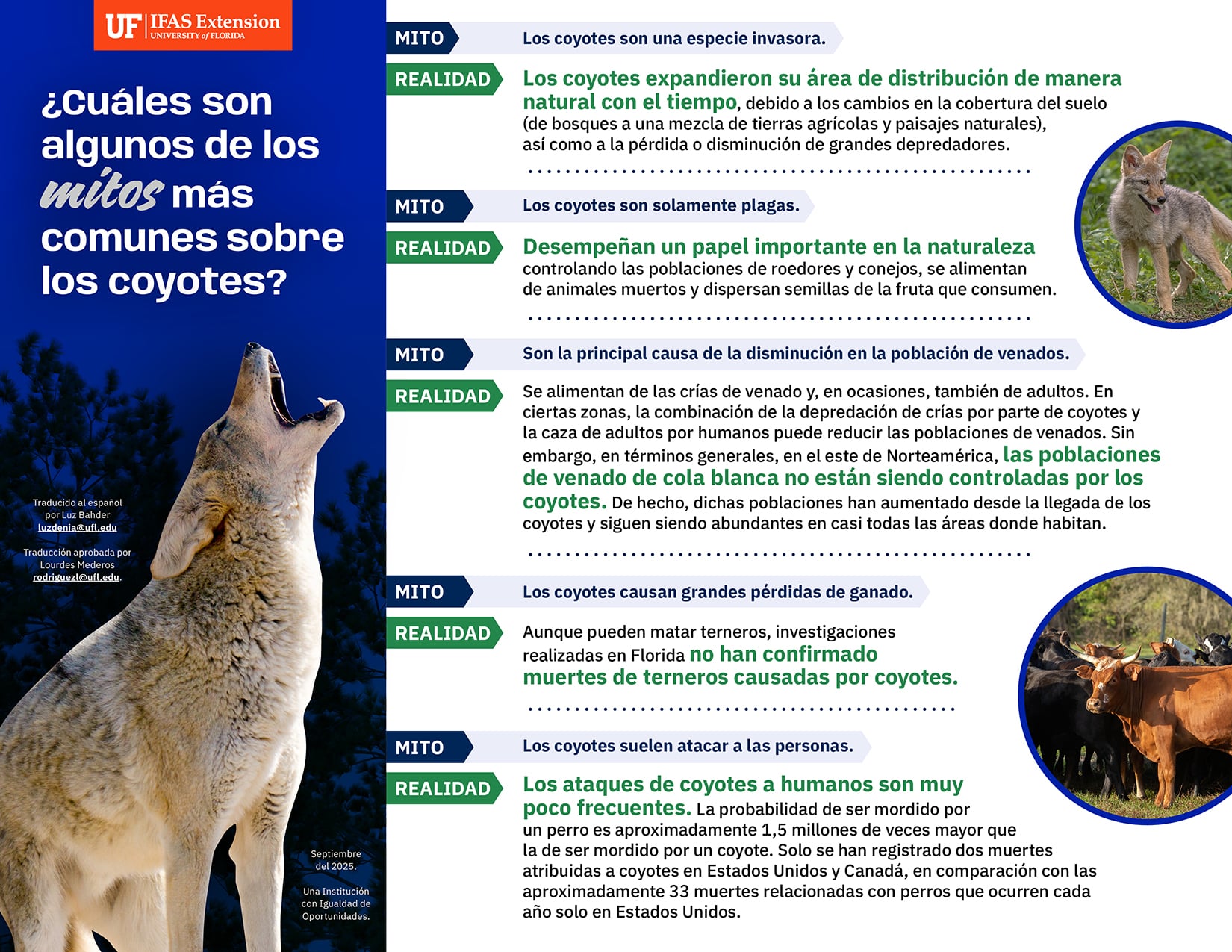 infografia