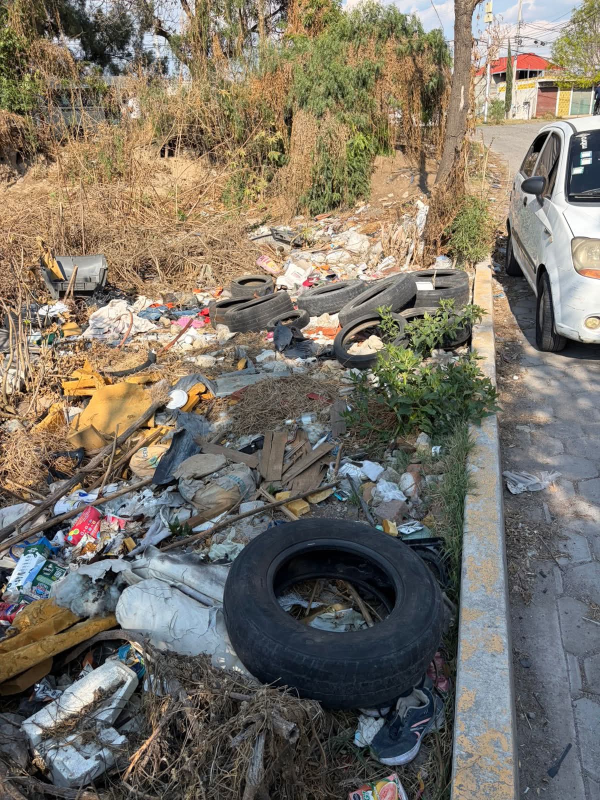 whatsapp image 2026 04 10 at 12.56.59 pm