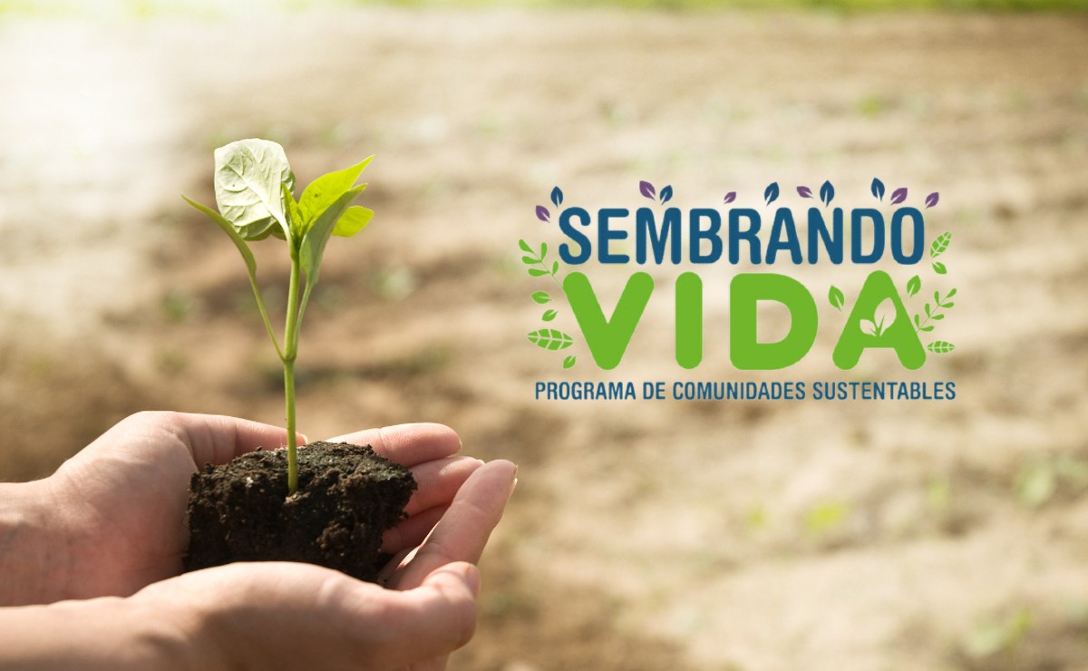 Sembradores en Tlaxcala reciben pago y fortalecen proyectos que transforman el campo