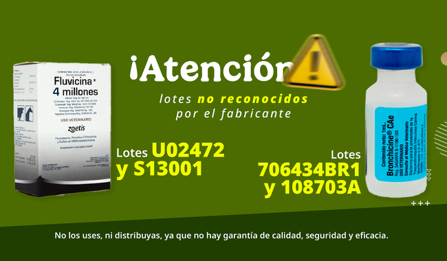 Alerta urgente en México por medicamentos veterinarios irregulares que ponen en riesgo a los animales