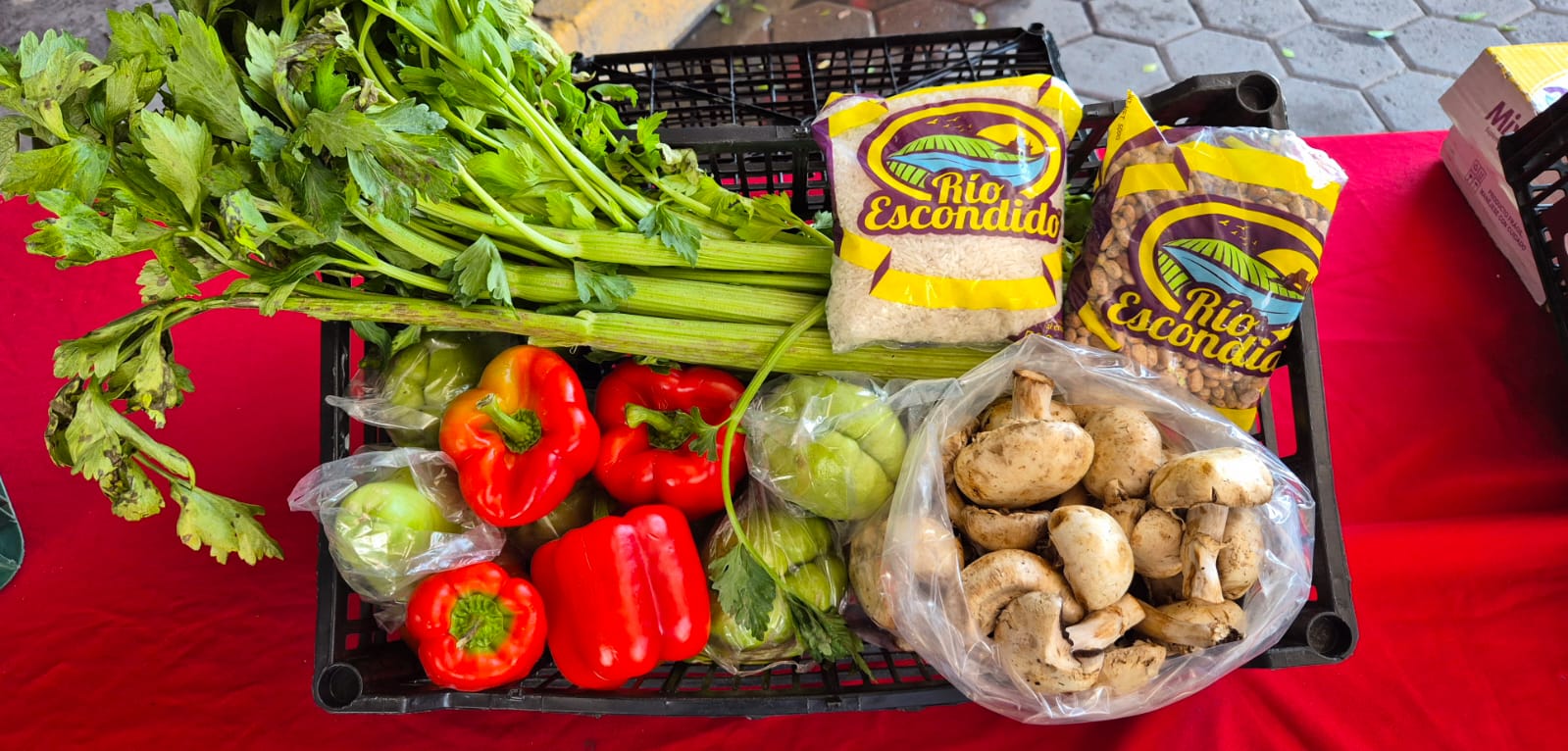 whatsapp image 2026 04 14 at 7.41.43 pm