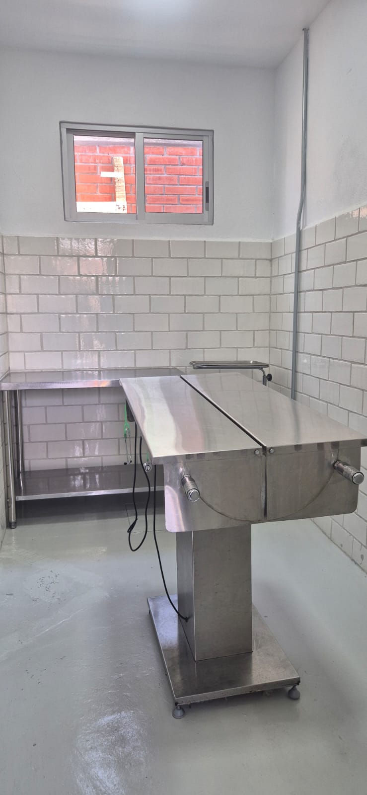 whatsapp image 2026 04 16 at 5.20.38 pm