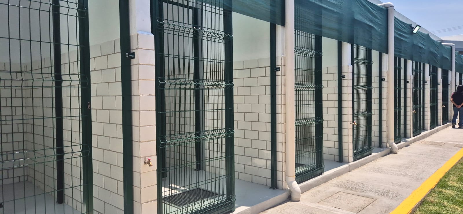 whatsapp image 2026 04 16 at 5.25.11 pm