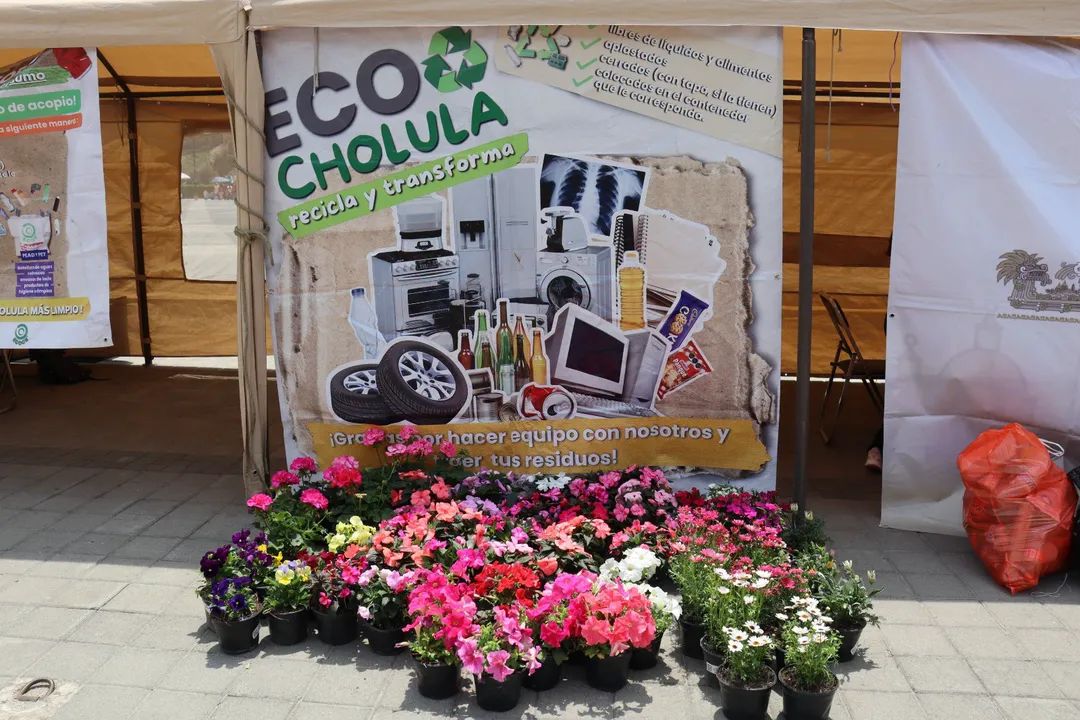 Refuerzan acciones ambientales con jornada EcoCholula en el Parque Soria