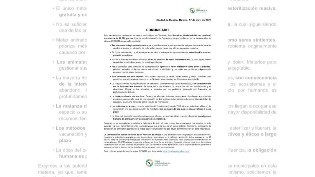 Polémica nacional impulsa acciones urgentes por bienestar animal y control ético en México