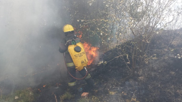 Suma Puebla 154 incendios forestales en lo que va del año
