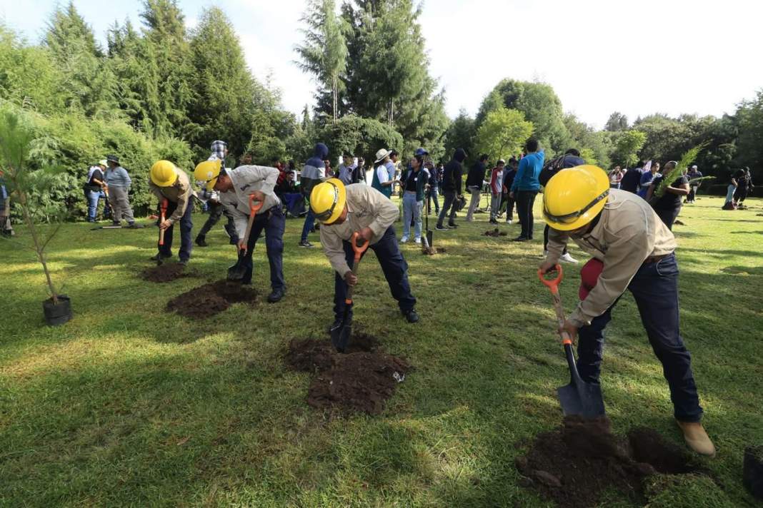Atltzayanca renace: inversión millonaria impulsa restauración forestal en Tlaxcala