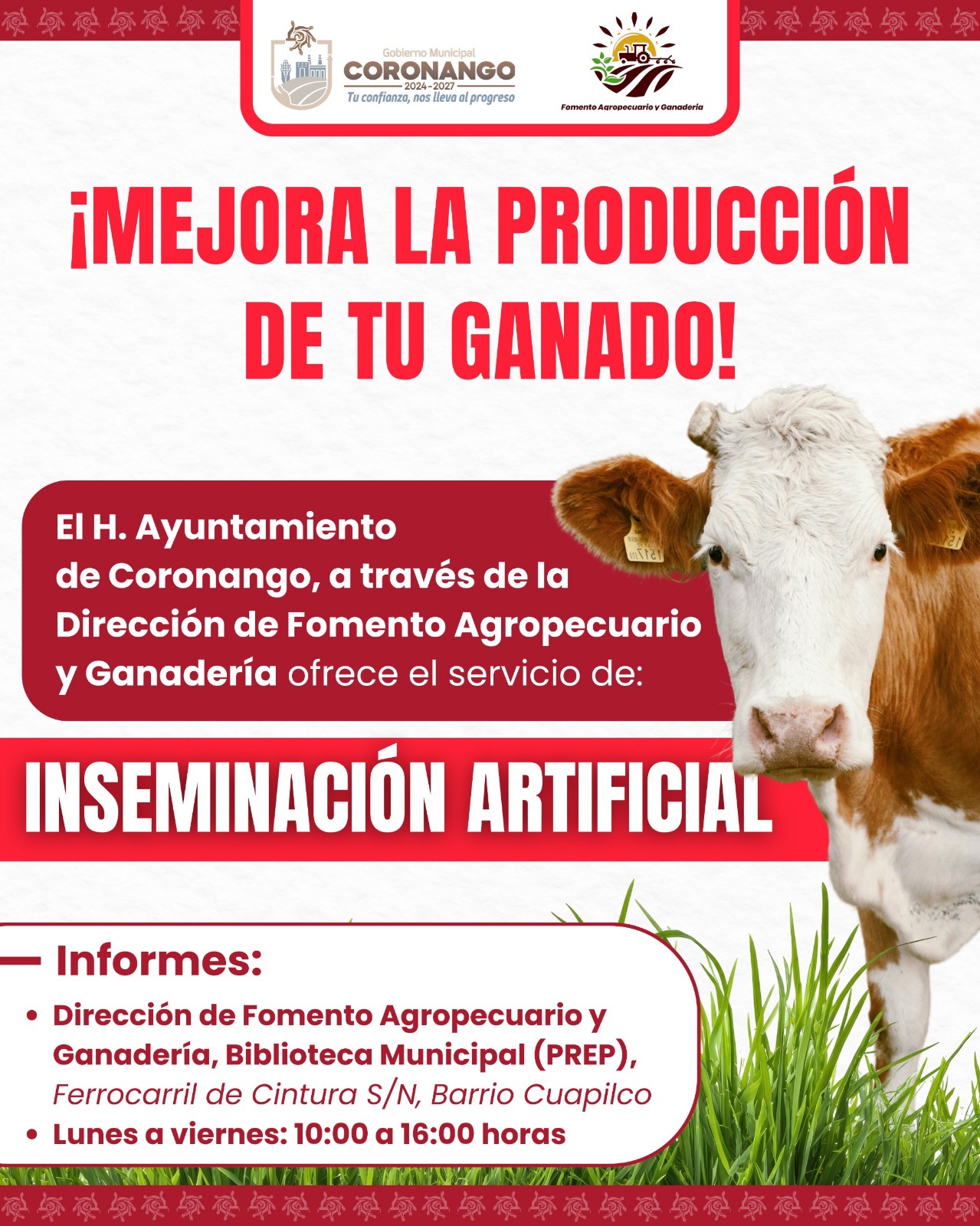 Para mejorar producción ganadera, Coronango ofrece herramienta de inseminación artificial
