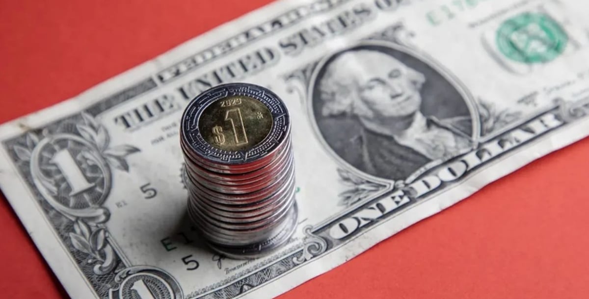 Billetes de dólar y pesos mexicanos con tipo de cambio actualizado