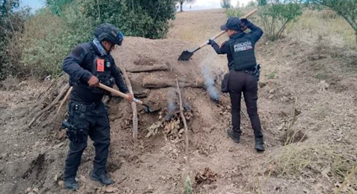 Policía Estatal de Puebla asegura maquinaria para tala de árboles e inhabilita hornos clandestinos 