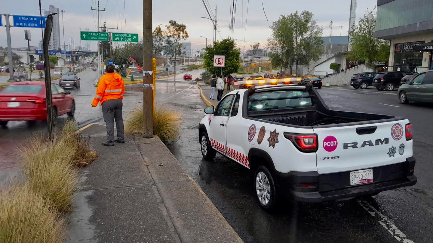 whatsapp image 2026 04 05 at 6.55.47 pm