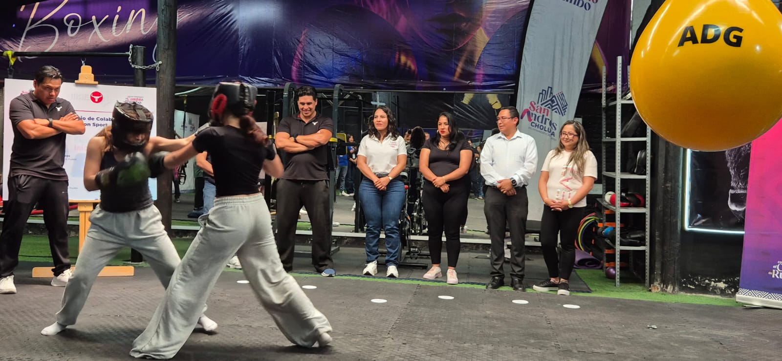 whatsapp image 2026 04 09 at 6.56.39 pm