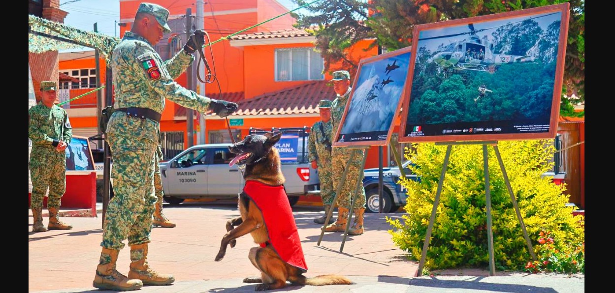 Personal brinda servicios gratuitos durante una Feria de Paz en Ahuazotepec.