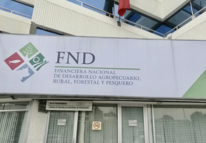 Desaparición de la FND.