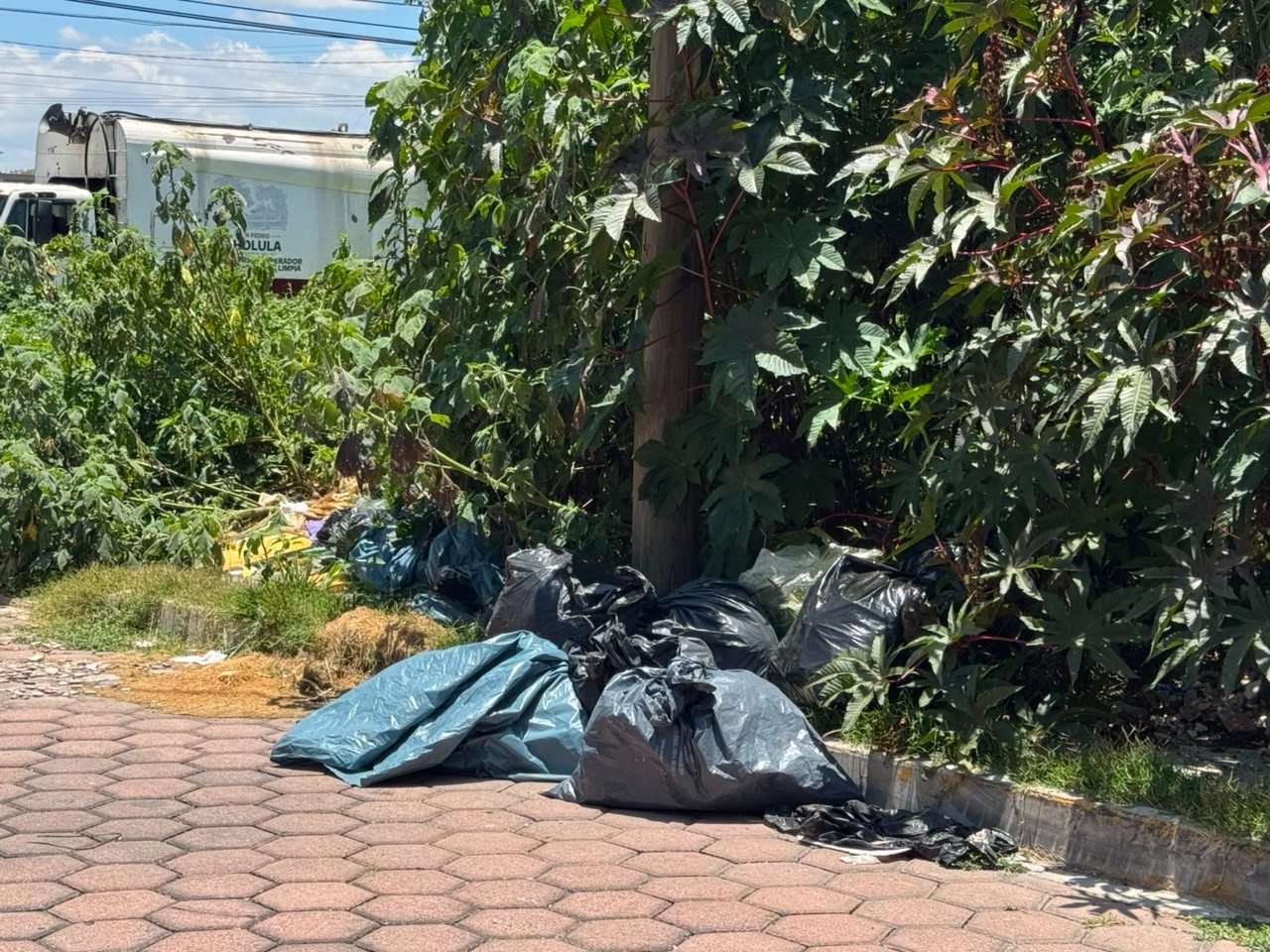 Gobierno de San Pedro Cholula y Organismo Operador de Limpia refuerzan acciones contra la disposición clandestina de residuos