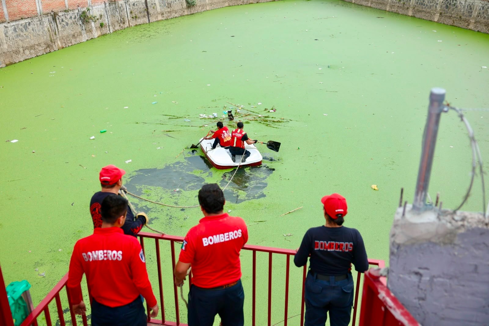 Bomberos de Cuautlancingo rescatan con éxito a ser sintiente en vaso regulador