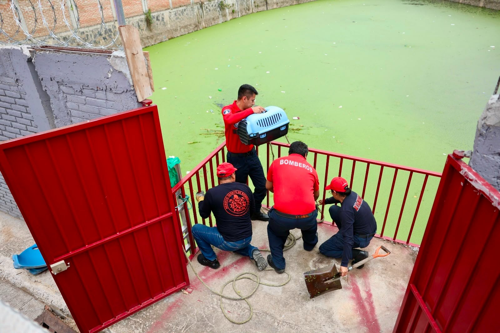 Bomberos de Cuautlancingo rescatan con éxito a ser sintiente en vaso regulador