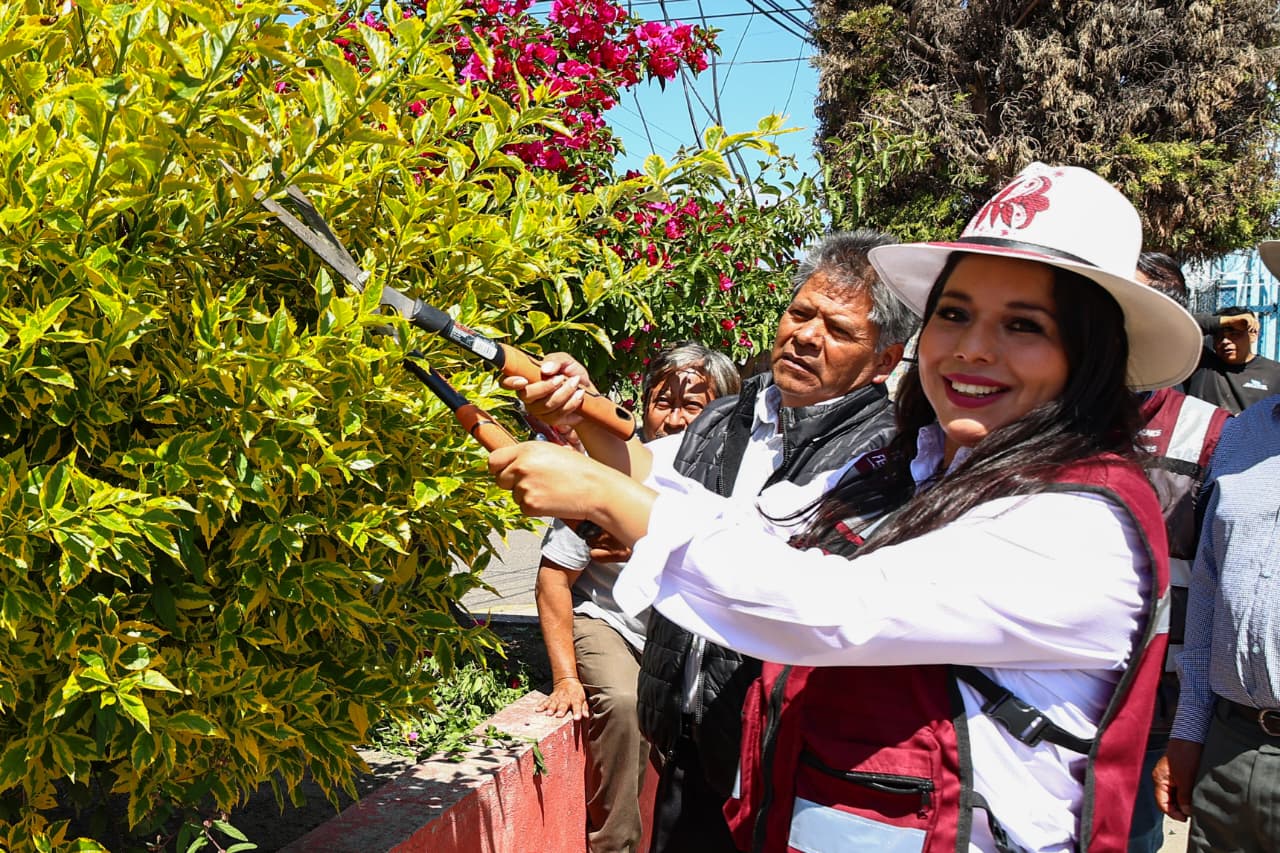 Fortalece Tonantzin Fernández la atención a las juntas auxiliares con la Brigada de la Transformación