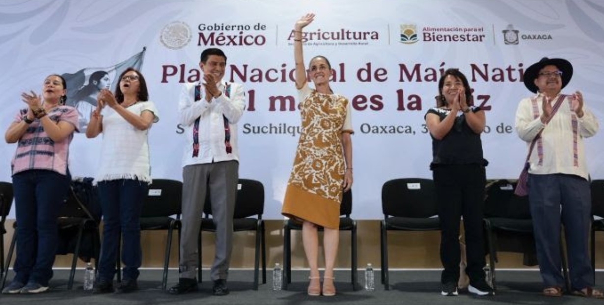 Claudia Sheinbaum entrega apoyos del programa El Maíz es la Raíz en Oaxaca.