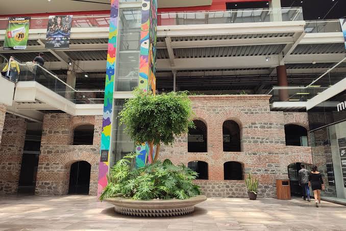 Grupo Carso aún no presenta proyecto para San Francisco; Ayuntamiento no ha otorgado permisos