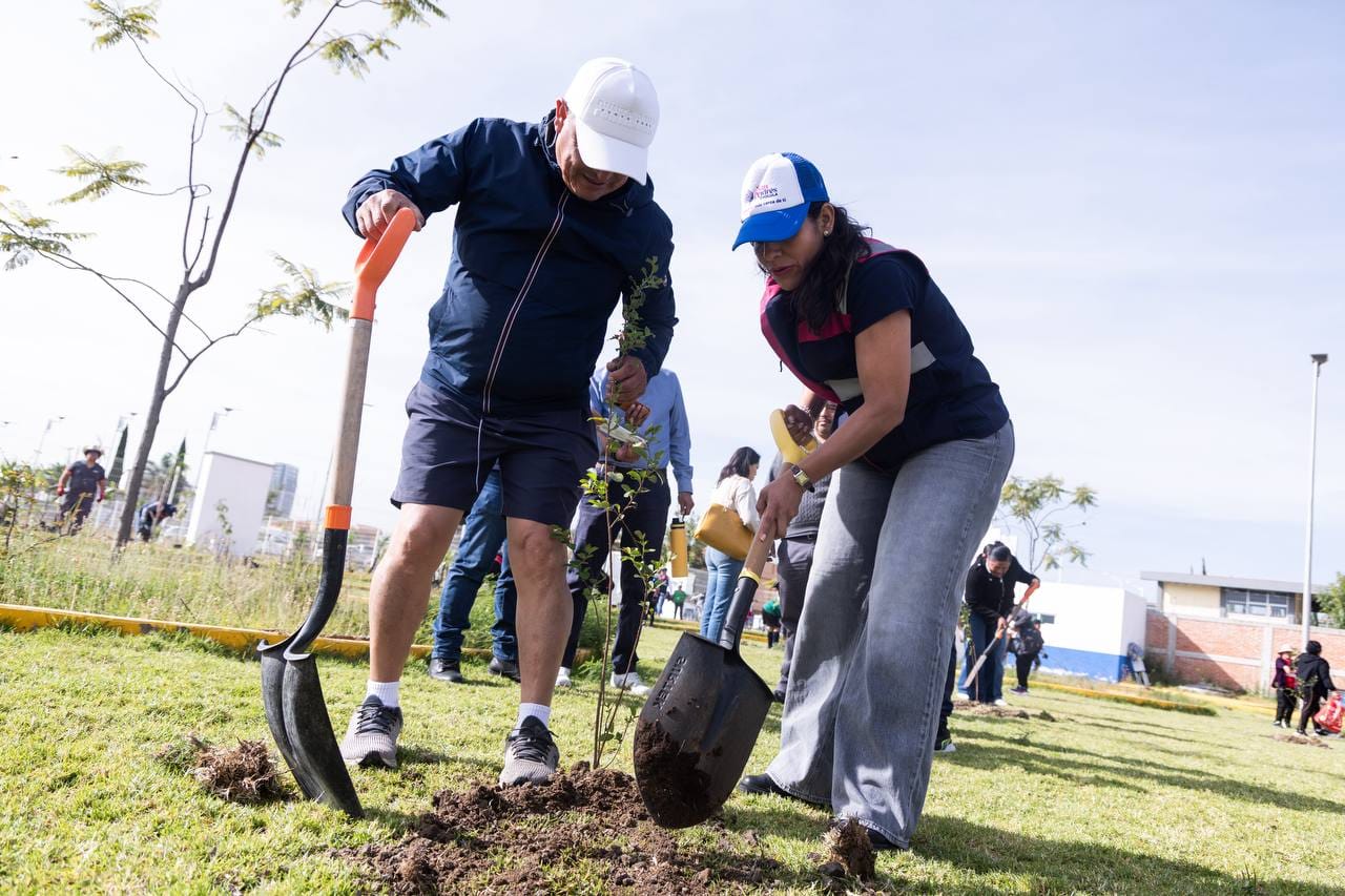 Realiza Lupita Cuautle jornada de reforestación en San Antonio Cacalotepec