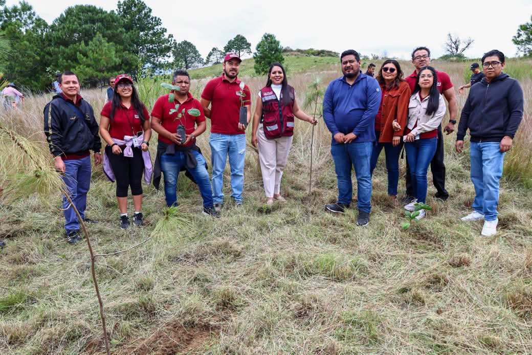Reforestan con dos mil árboles el cerro Zapotecas reserva natural de San Pedro Cholula