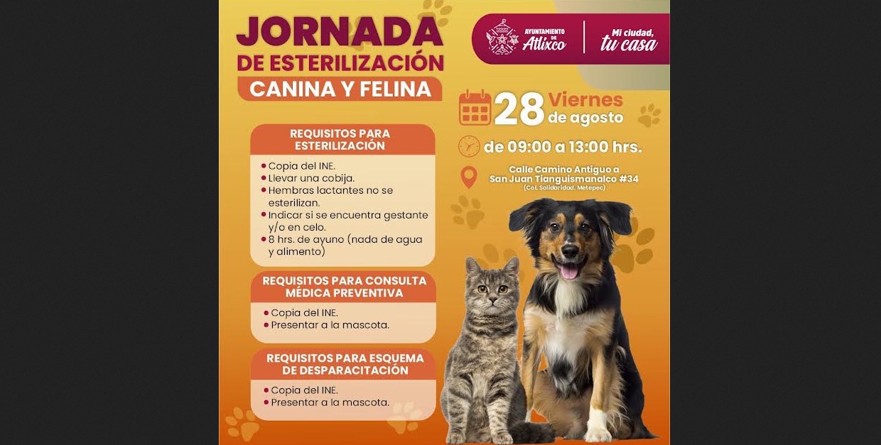 Perro durante jornada de esterilización animal