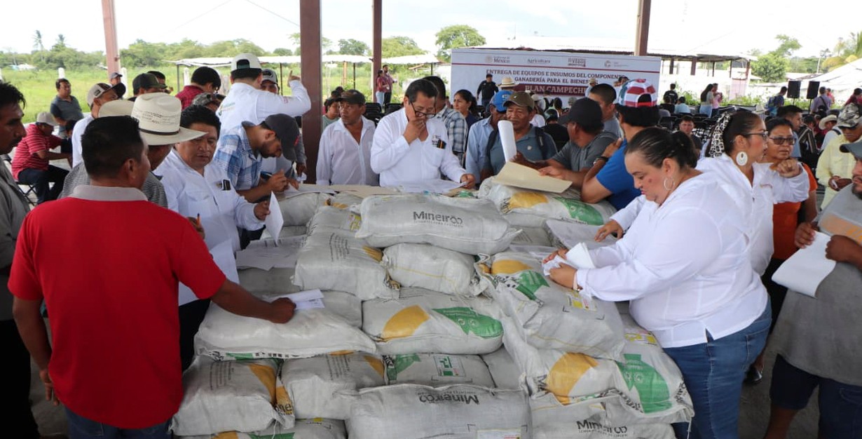 Ganaderos de Campeche reciben apoyos del Gobierno de México.