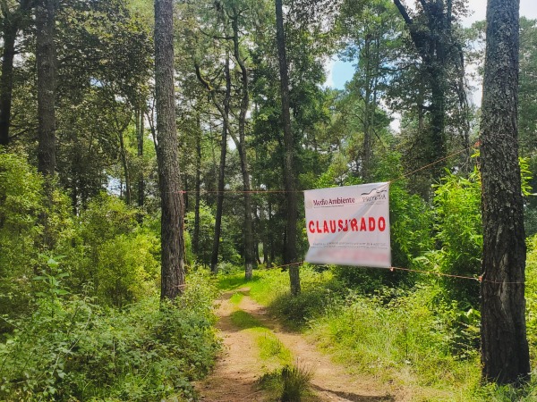 Profepa cancela proyectos inmobiliarios en Zacatlán por cambio irregular de uso de suelo